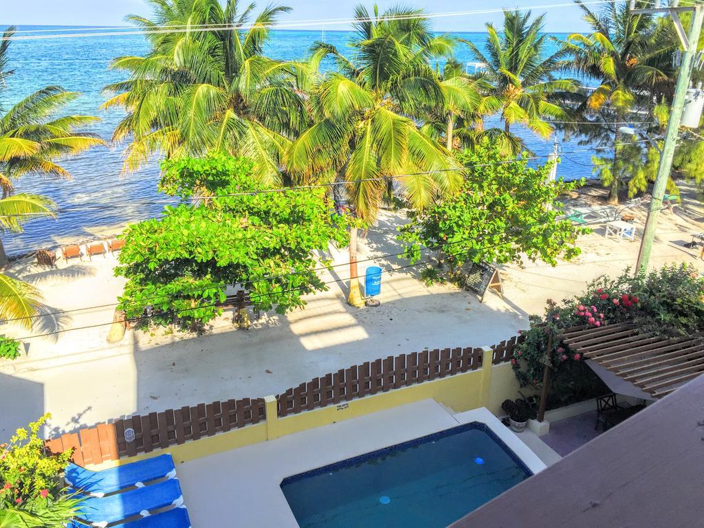 Caye Reef Condos كاي كولكر الغرفة الصورة